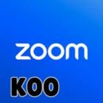Zoom APK
